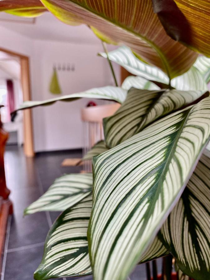 Moderne Ferienwohnung Seeblick Фройденберг Экстерьер фото